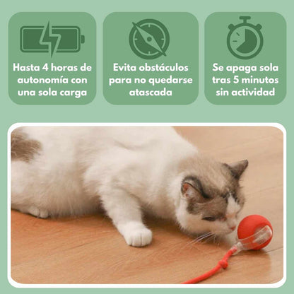 Veluna PelotaViva para Gatos