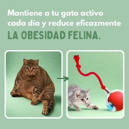 Veluna Smart Ball para Gatos