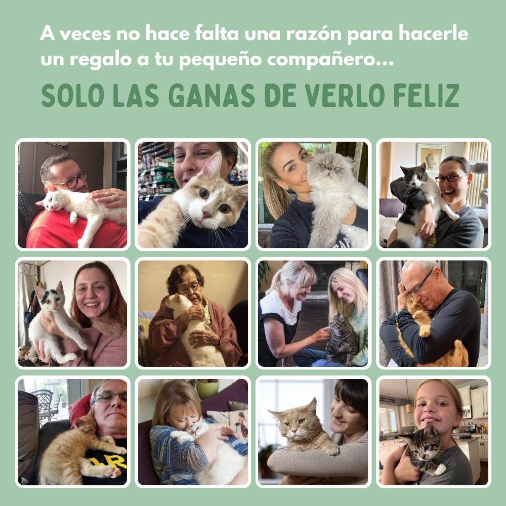 Veluna Smart Ball para Gatos