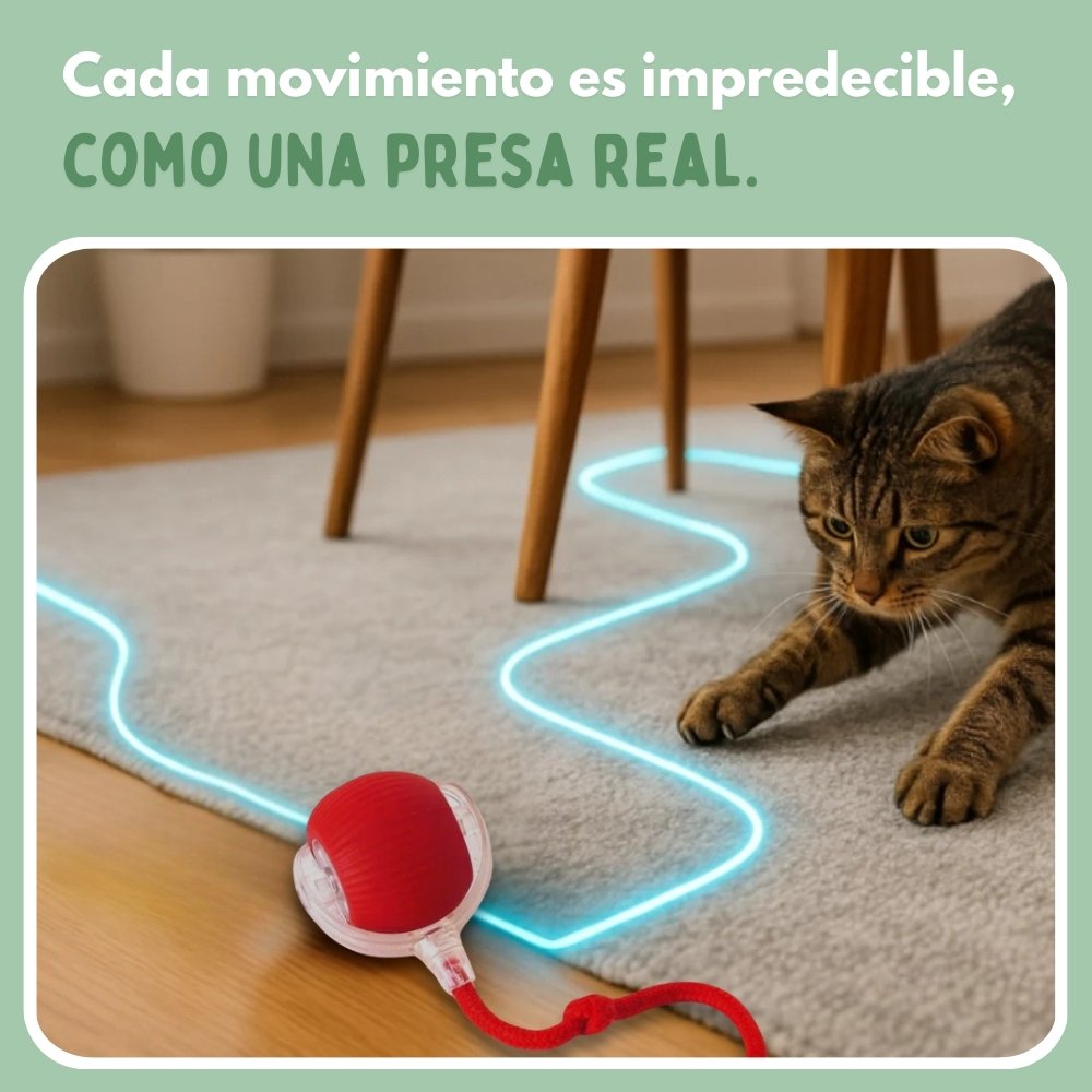 Veluna PelotaViva para Gatos