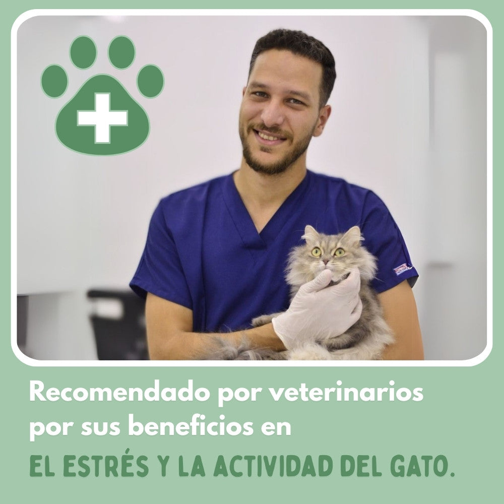Veluna Smart Ball para Gatos