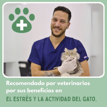Veluna Smart Ball para Gatos