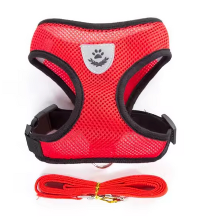 Arnés ajustable para paseos para gatos