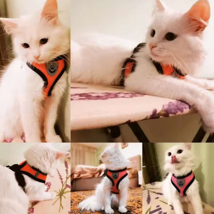 Arnés ajustable para paseos para gatos