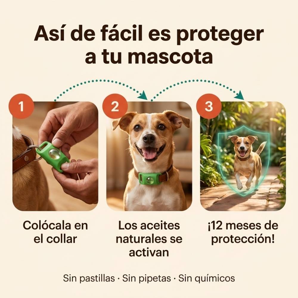 Collar Peluka antipulgas y garrapatas