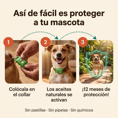 Collar Peluka antipulgas y garrapatas