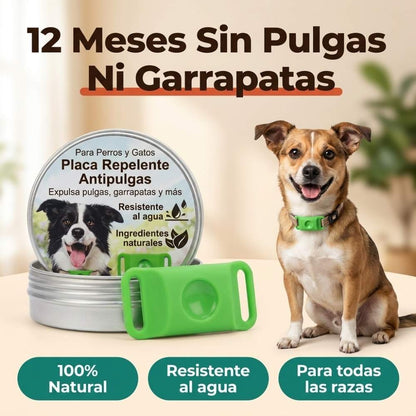 Collar Peluka antipulgas y garrapatas