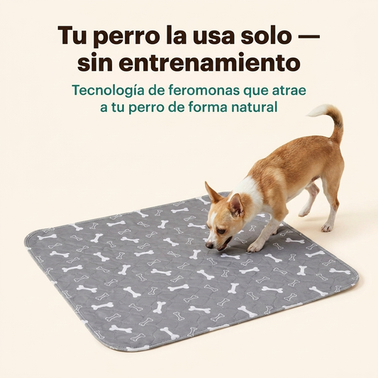 PuppyPad Peluka