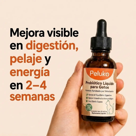 Probiótico Líquido para Gatos — 30 ml