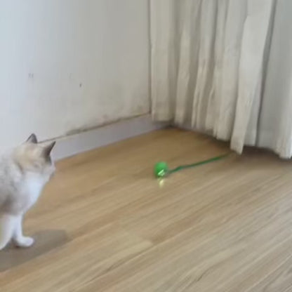 Veluna Smart Ball para Gatos