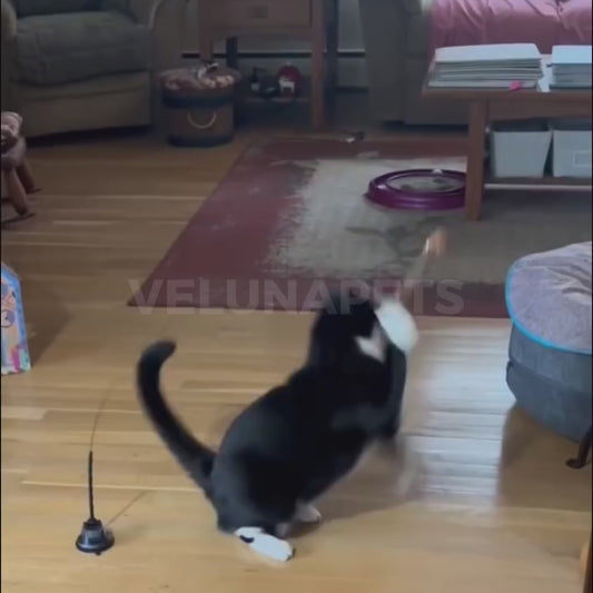 Juguete Interactivo en Forma de Pájaro para Gatos