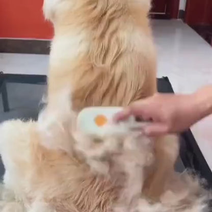 Veluna Steam Brush para Perros