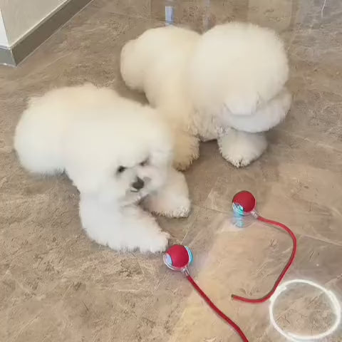 Veluna PelotaViva para Perros